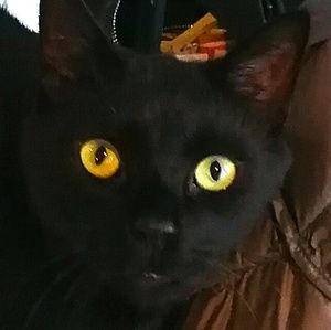 Meet your Posher, Chris